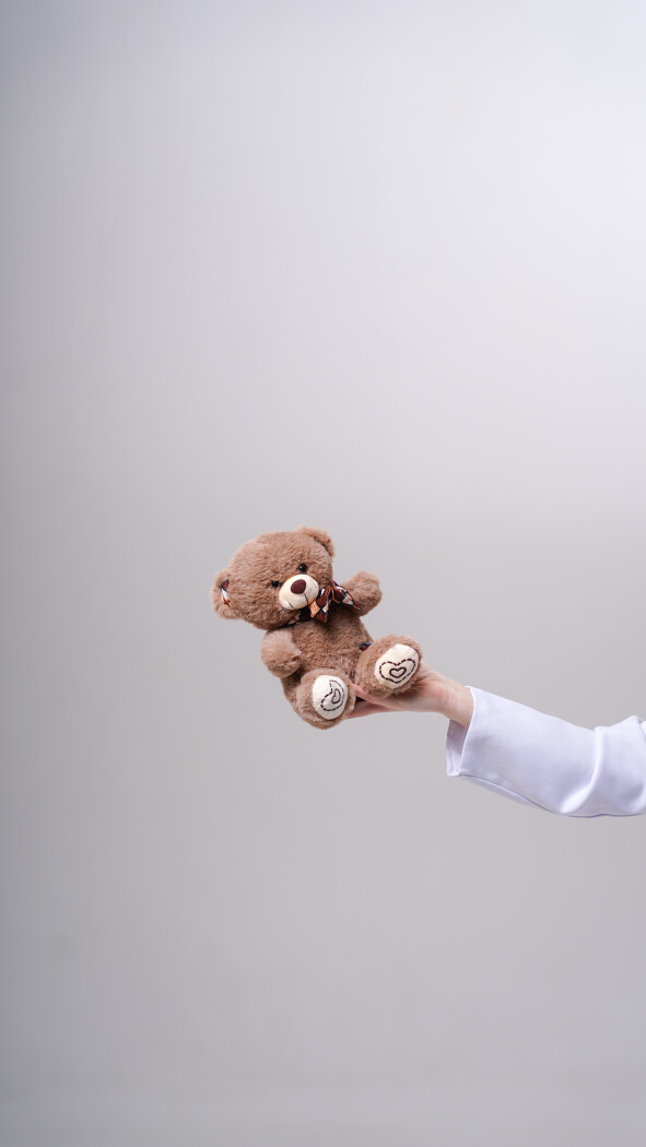 Бурый мишка (23см)