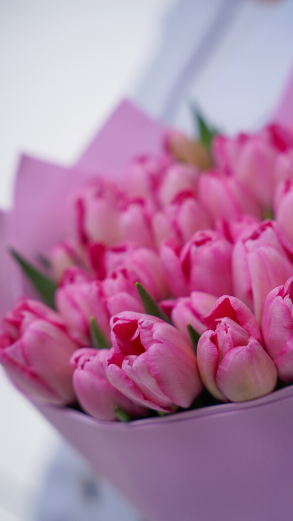 35 розовых тюльпанов в оформлении №380