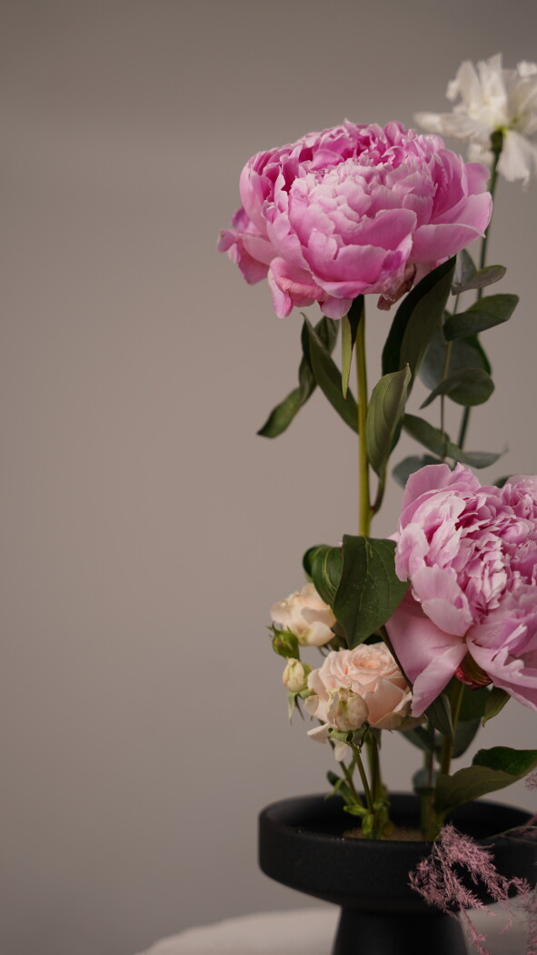 Композиция №348