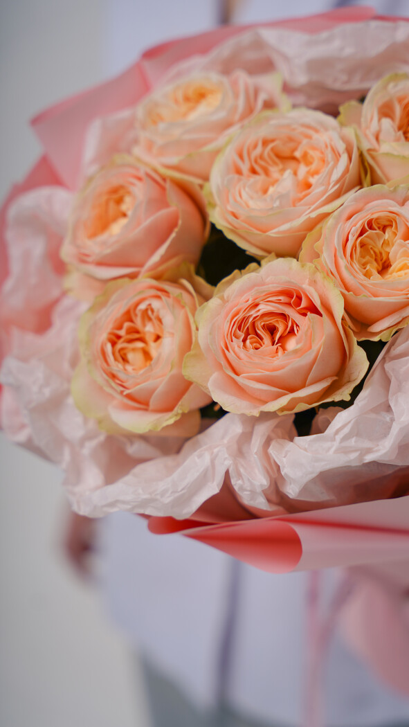 7 кремовых пионовидных роз в оформлении №1