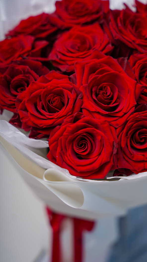15 красных роз в оформлении №42