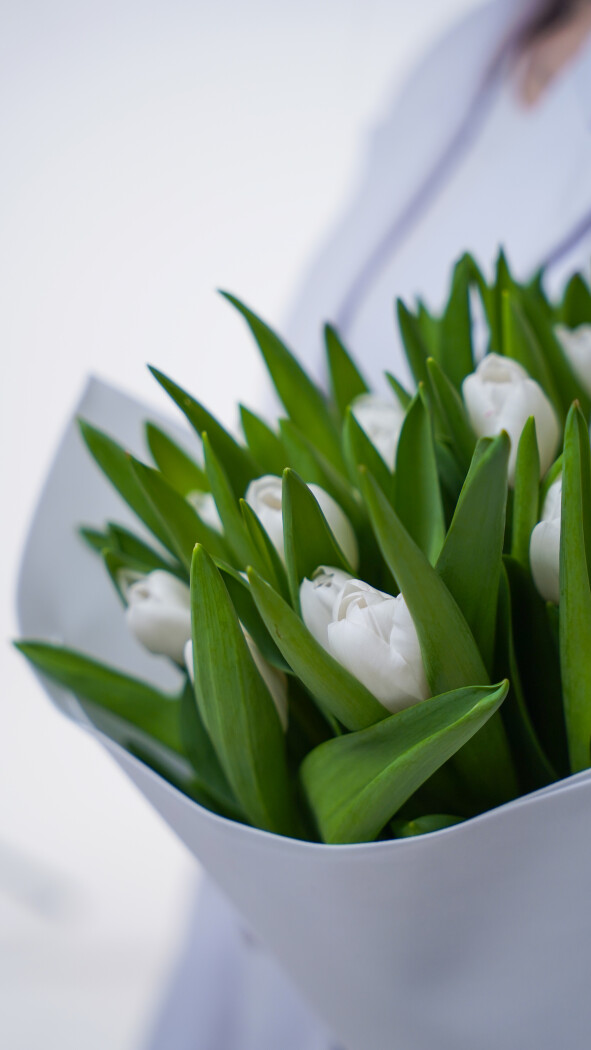 35 белых тюльпанов в оформлении №365