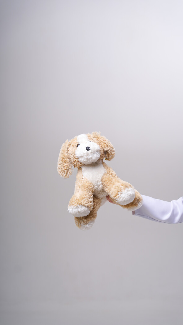 Мягкая игрушка «Щенок БУФ»