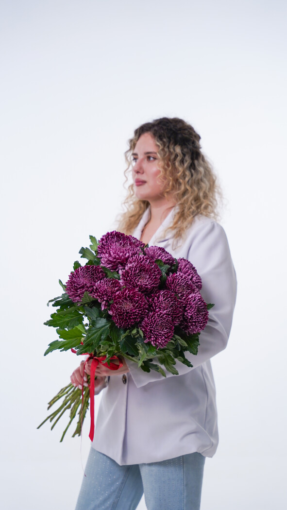 15 фиолетовых хризантем под ленту №423