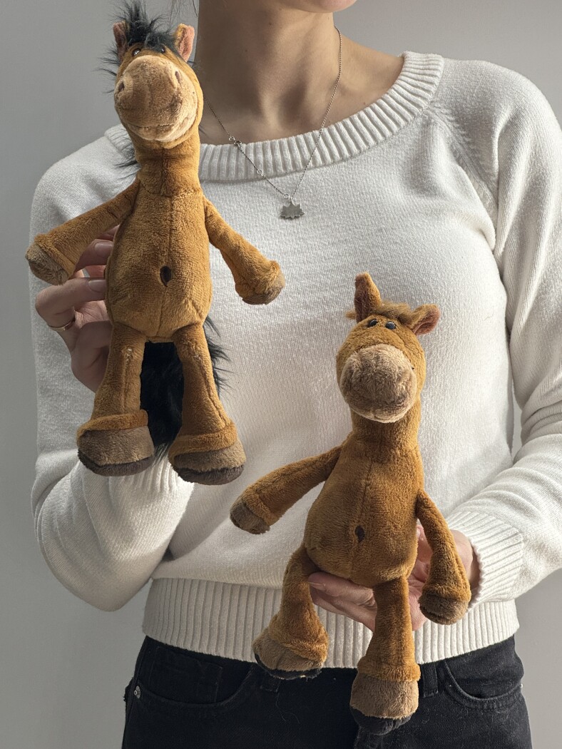 Лошадка микс