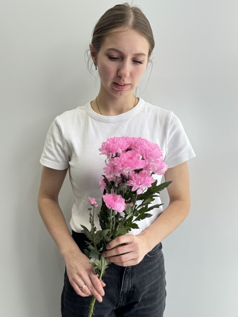 хризантема кустовая балтика фуксия