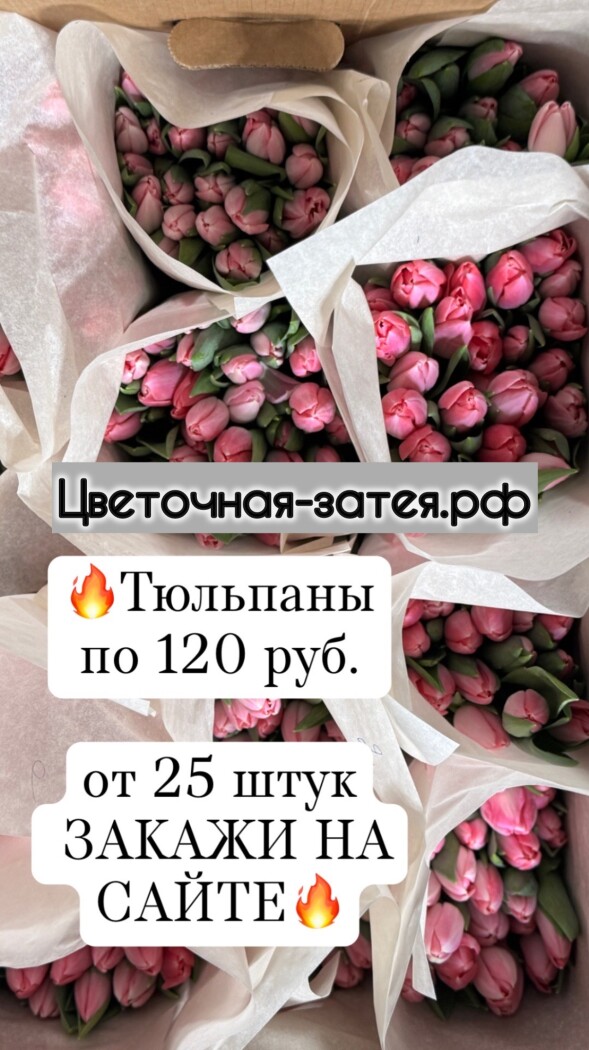 АКЦИЯ ТЮЛЬПАН ОТ 25 штук по 120 руб. 