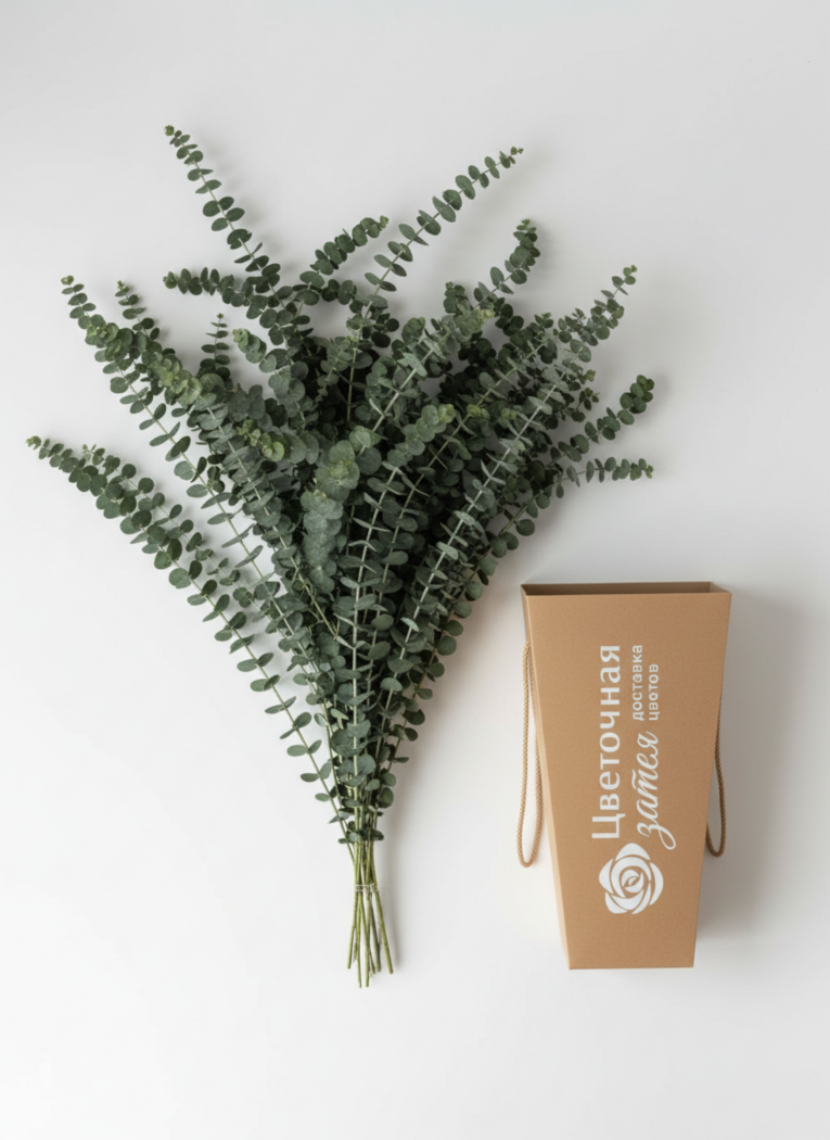 Банч из 5 веток эвкалипта