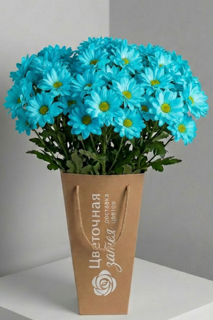 Банч из 5 веток ромашковой голубой хризантемы