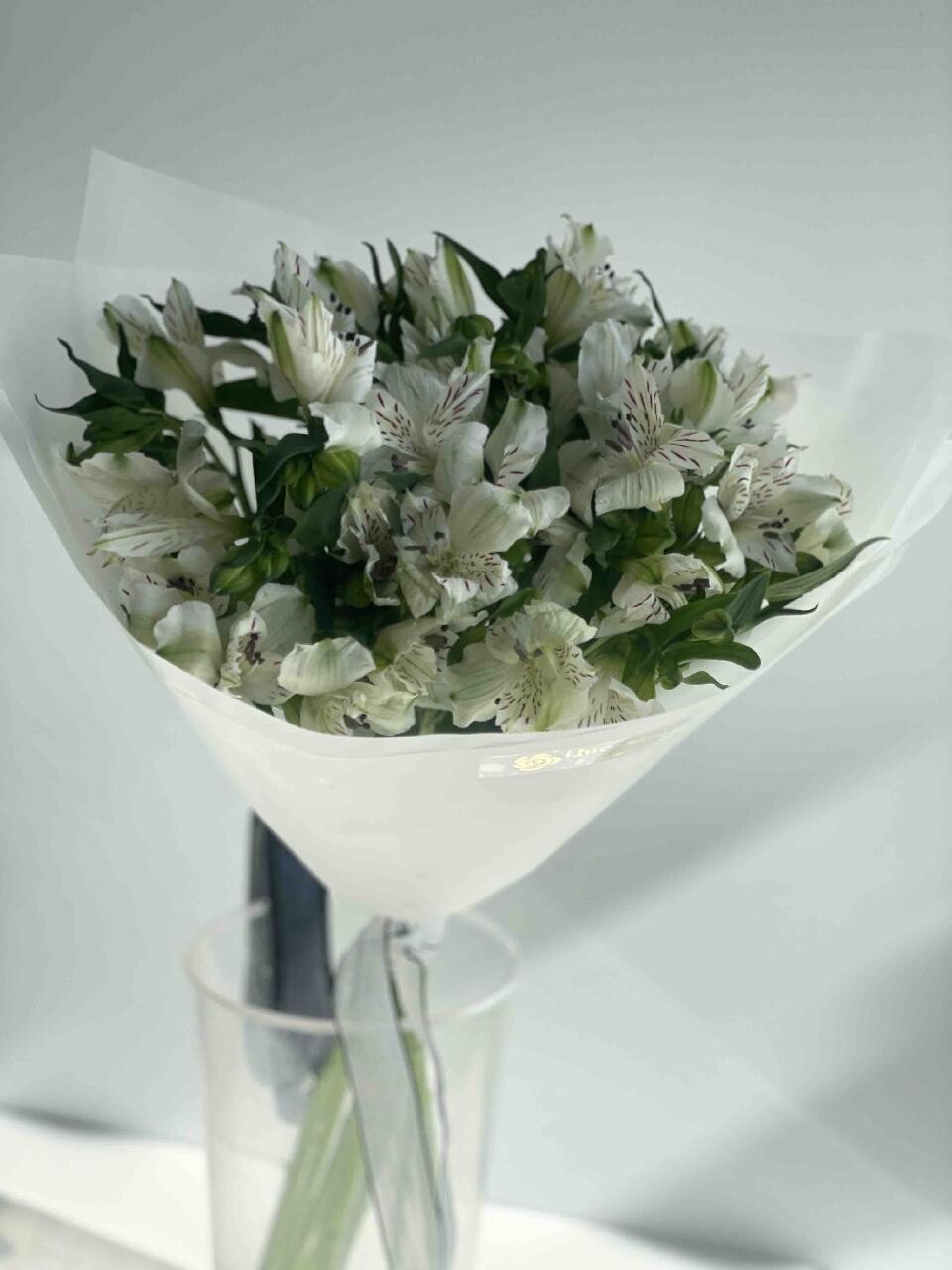 Flower 2