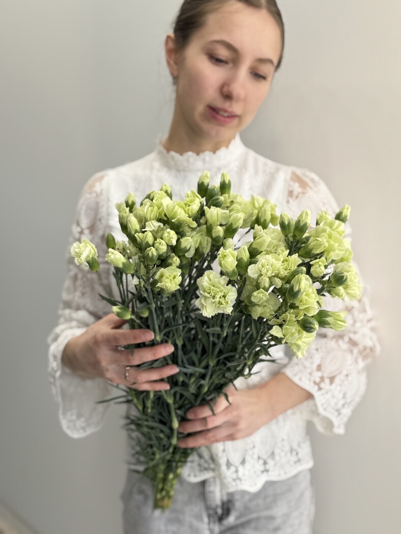 Банч из  21 кустовых диантусов зеленого цвета