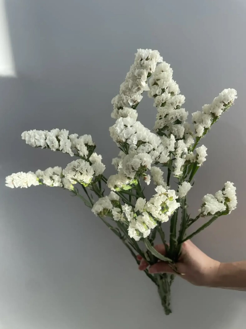 статица микс