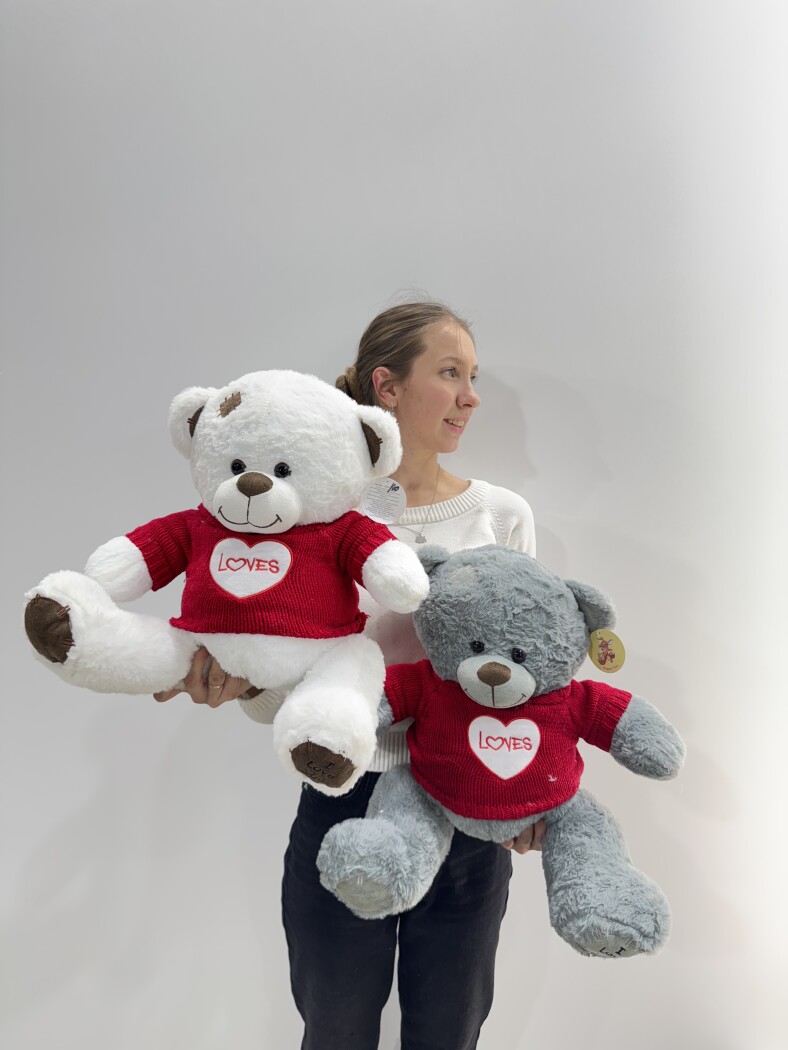 Медведь 20232/45