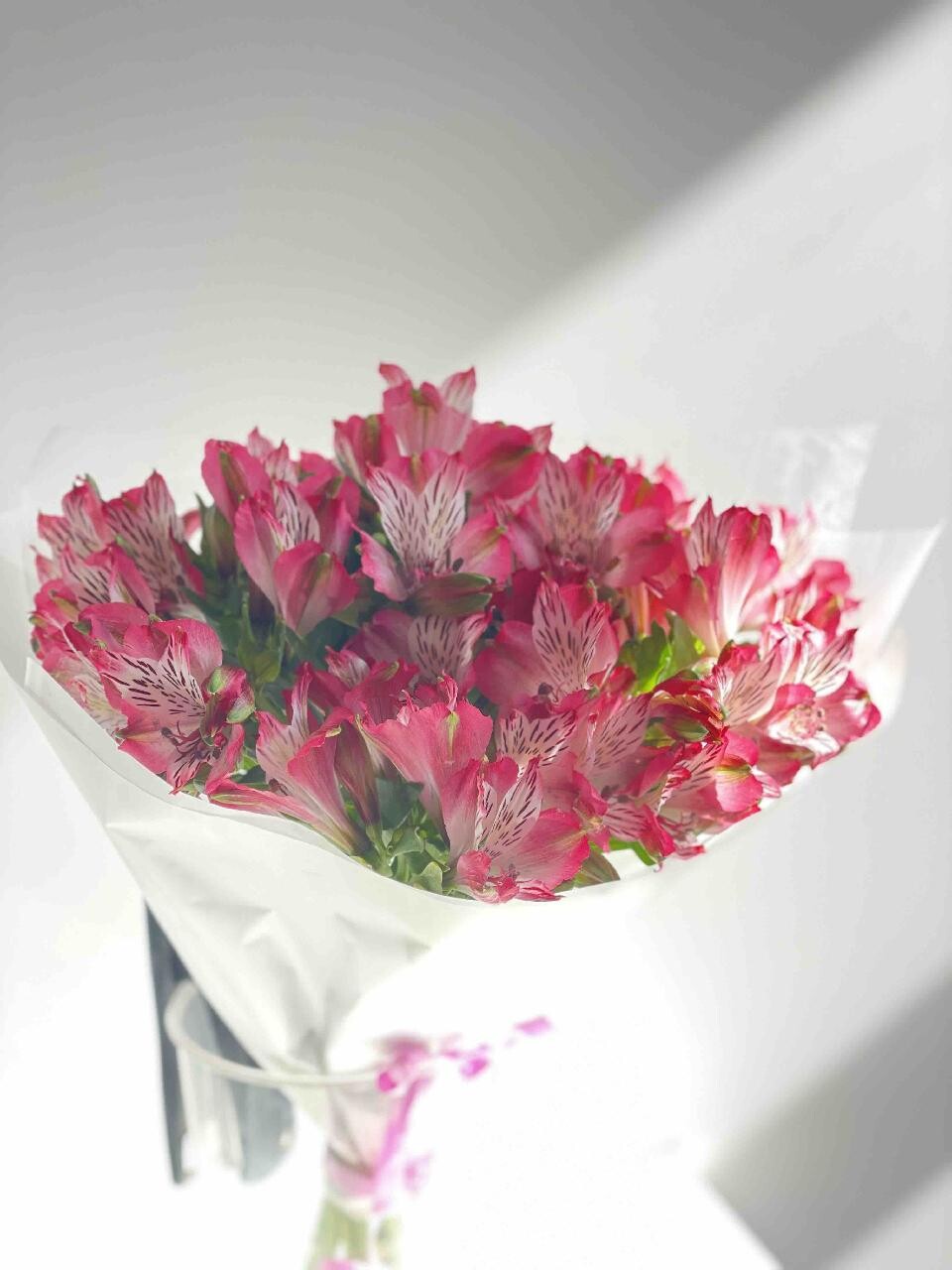 Flower 1