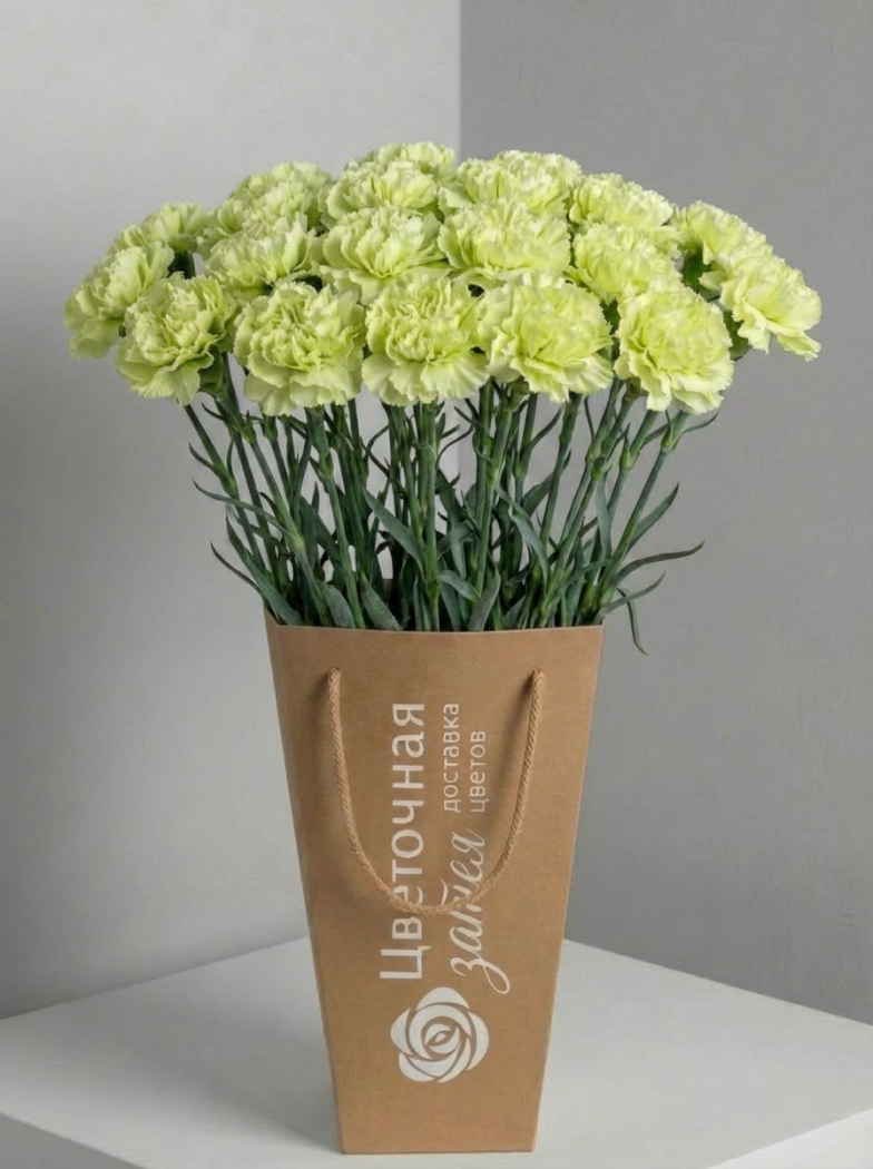 Банч из 19 фисташковых диантусов