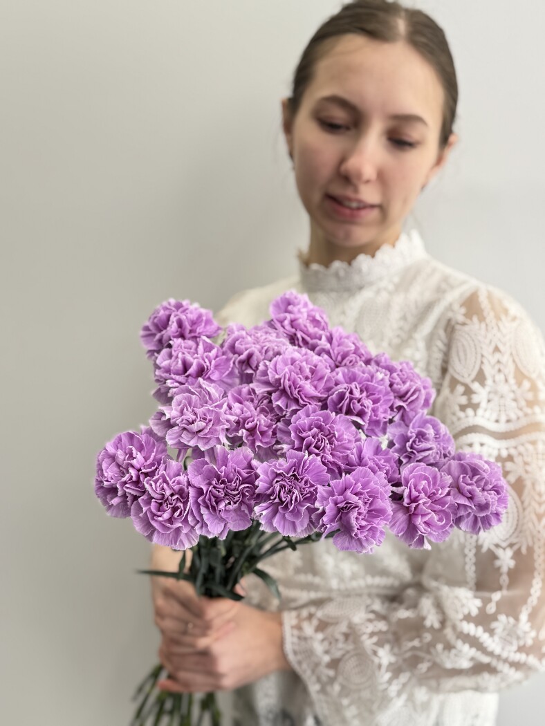 гвоздика одноголовая сиреневая