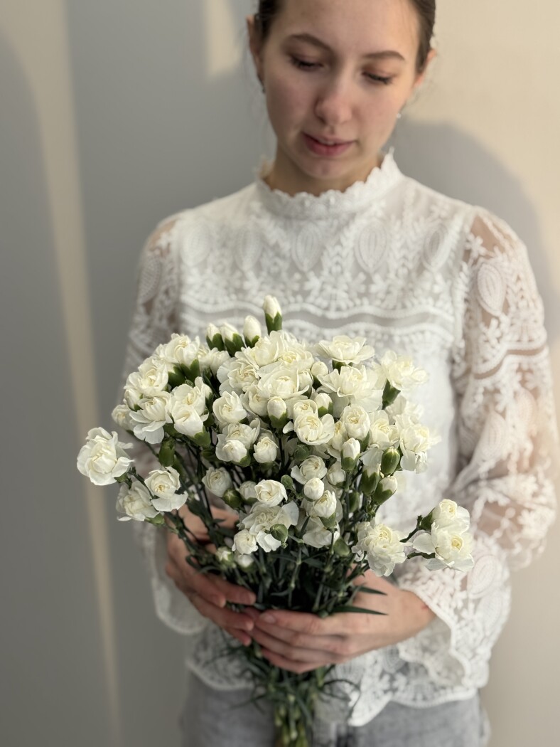 гвоздика кустовая белая