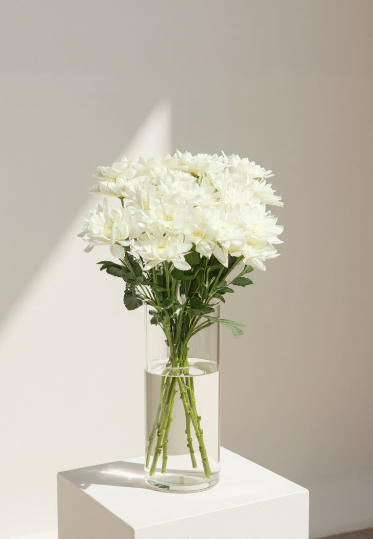 Банч из 5 веток белой пушистой хризантемы