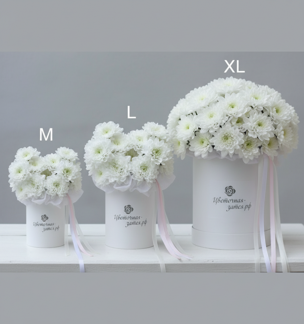 РАЗМЕР M. Композиция в коробке из белой хризантемы
