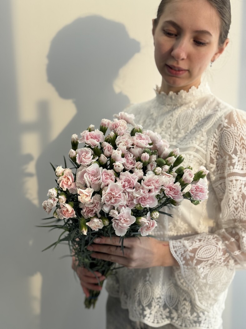 Банч из 21 кустовых диантусов нежно-розового  цвета