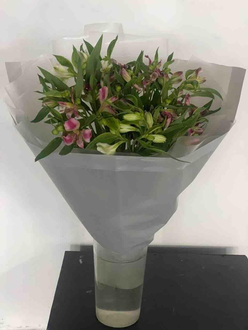 Flower 2