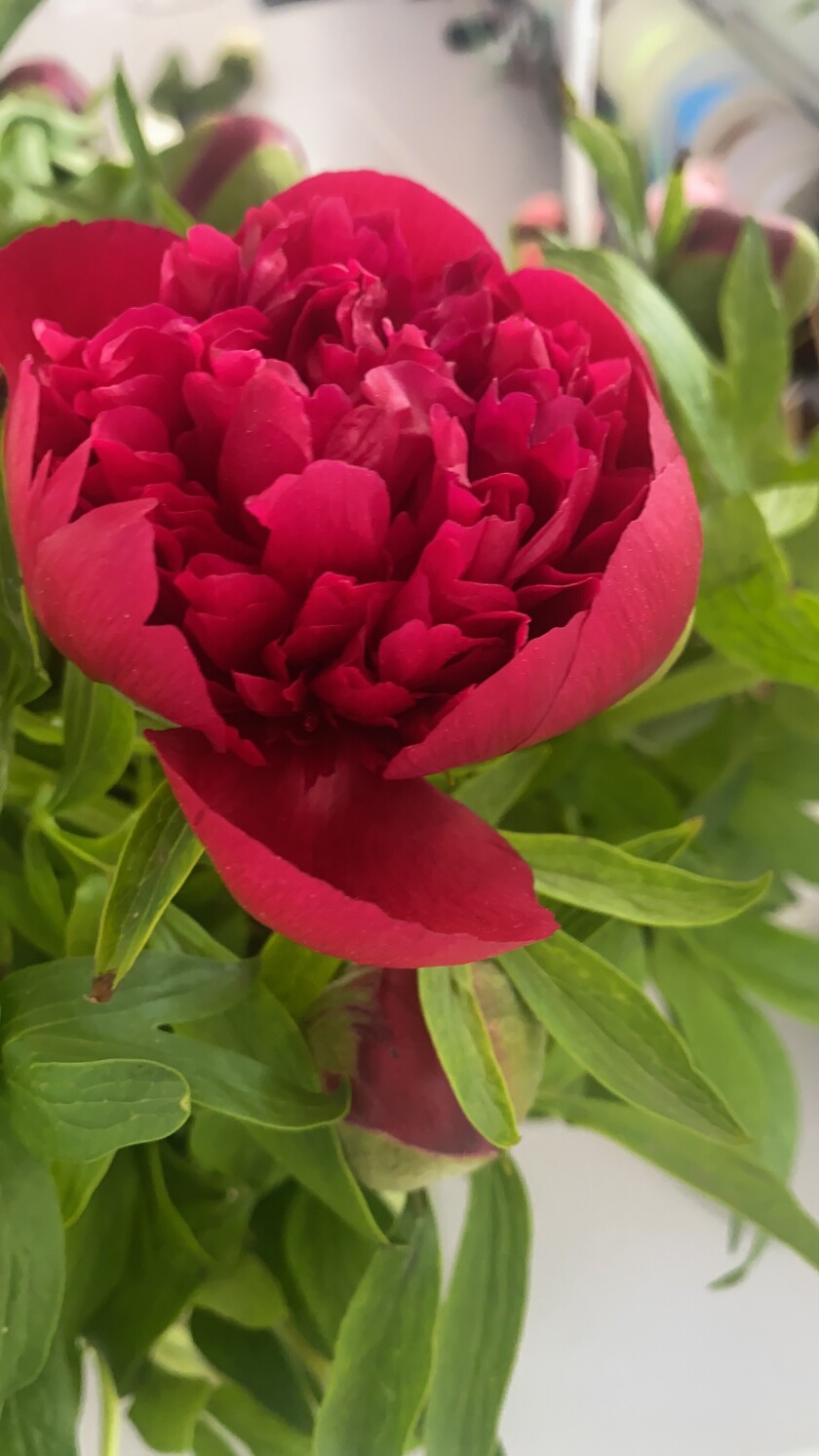 test