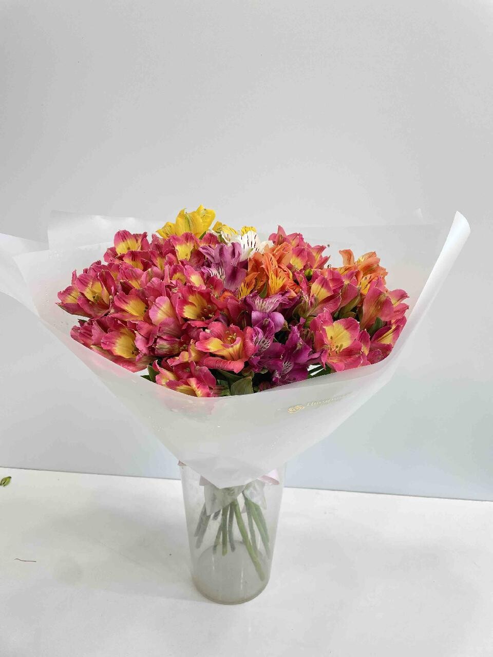 Flower 2