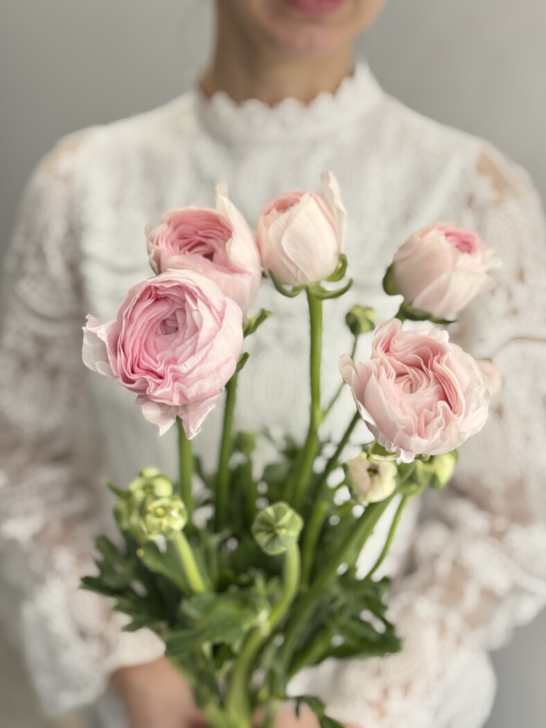 ранункулюс