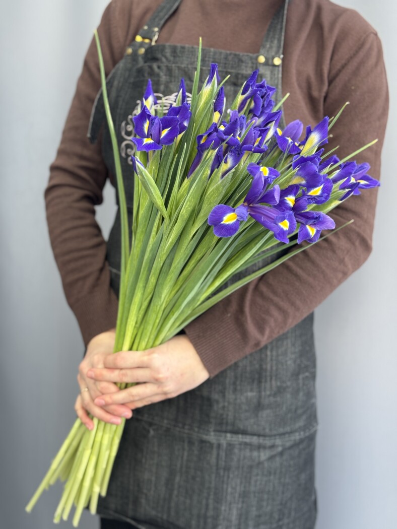 Ирис Блю Мэджик