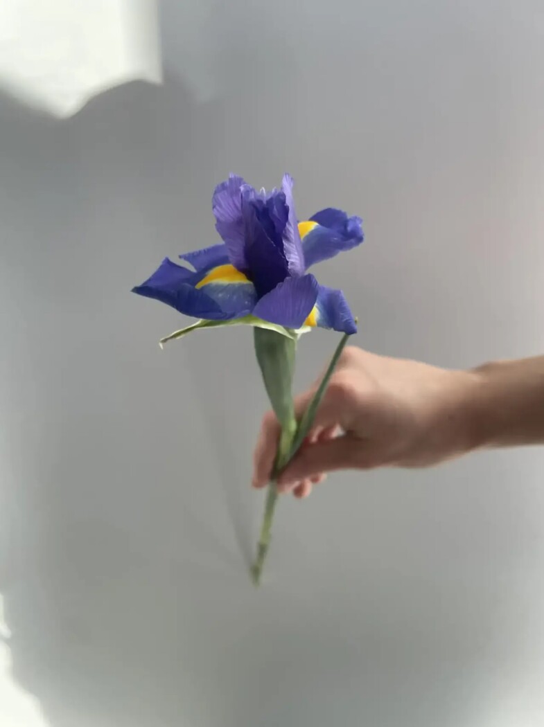 Ирис Блю Мэджик